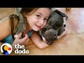 Watch This Little Girl Grow Up With Her Pittie The Dodo