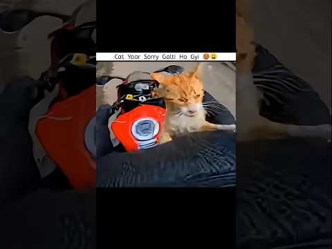 look at this moment 👀😭 #vlog #motovlog #reels #ninjah2r #zx10r #bikelover #bikelife #jammu