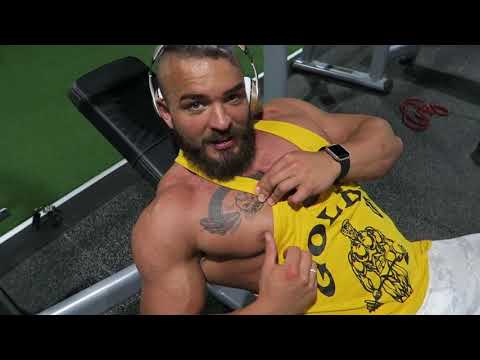 CUTE GORILLA MODE ACTIVATED X