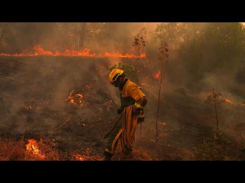 Els incendis assolen Espanya: el foc copeja Castelló, Àvila, Madrid i Toledo