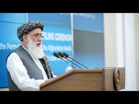 ‏د پرمختګ ویبپاڼې د پرانېستې په مراسمو کې د ریاست الوزراء مقام د دفتر عمومي رئیس وینا