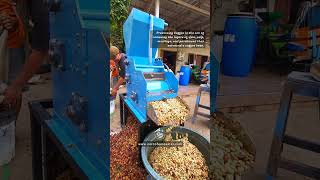 Download lagu Pengolahan Kopi Wine mp3 Download lagu Pengolahan Kopi Wine mp3