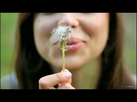 Frainbreeze feat. Natune - Whe You Find Me (Bryan Milton ChillOut Remix) Distance Of Love