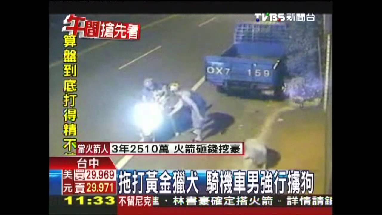 拖打黃金獵犬　騎機車男強行擄狗