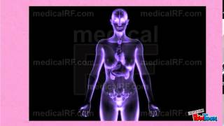 EBCR Homeostasis EBCR Homeostasis