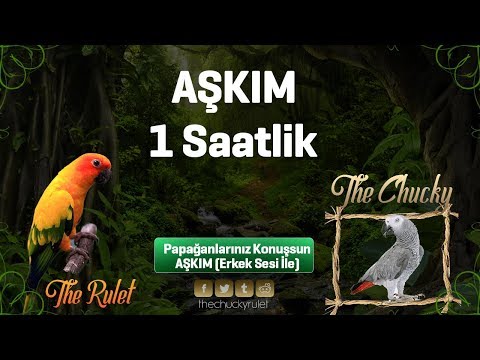 AŞKIM SES KAYDI TÜM PAPAĞANLARINIZA DİNLETİN  REKLAMSIZ 1 SAAT SES KAYDI | PAPAĞAN EĞİTİM SETLERİ