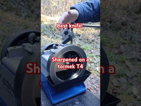 Why this is the Best Knife Sharpened on a Tormek T4
