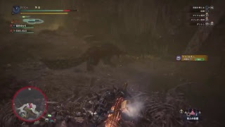 ［PS4版MHW］皆様と素材と装飾品あつめ　初見大歓迎　[モンハンワールド]