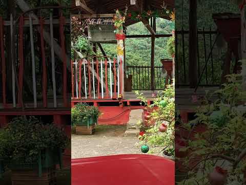 🌿 Venta de Finca Cafetera entre La Virginia y Balboa – Productiva y con gran potencial 🍌☕