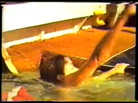 Trailer Tentacles 512kb