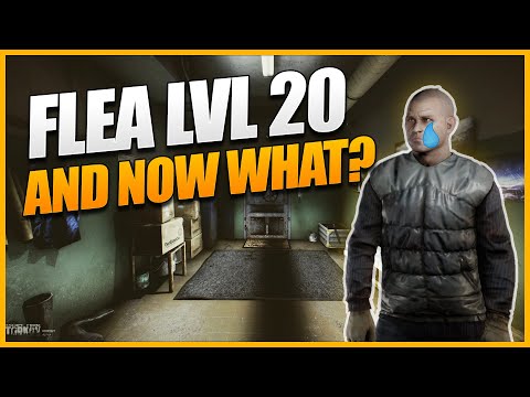 Tips and tricks on how to deal with Flea Market LVL 20 - Escape From Tarkov