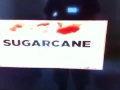 Sugarcane Entertainment RIP Factorymade NET Miramax 2014