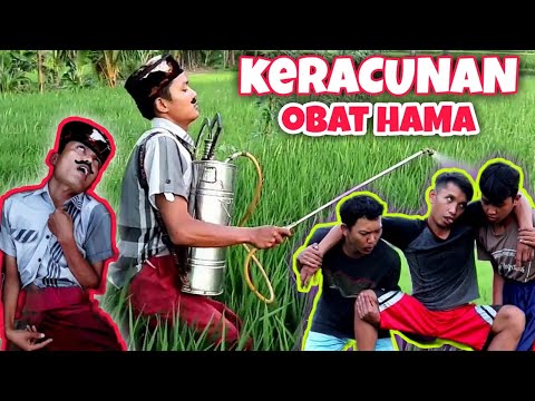 keracunan-obat-hama-padi