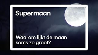 Waarom lijkt de maan soms zo groot? - RTL NIEUWS