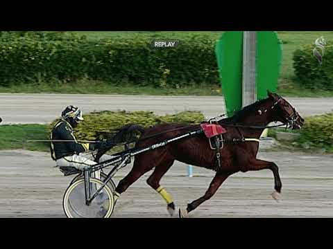 Aversa trotto 5 Dicembre 2020 - 2° Corsa