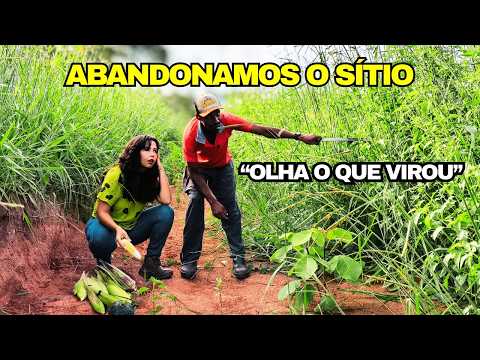 EP.24- Abandonamos o sítio ISOLADO… o que aconteceu enquanto Estávamos FORA?