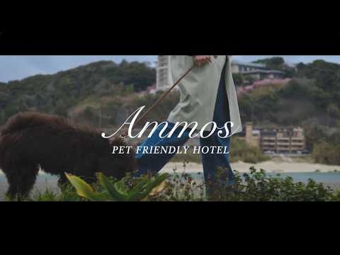 Ammos様_施設PR