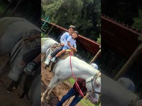 11 de octubre de 2025