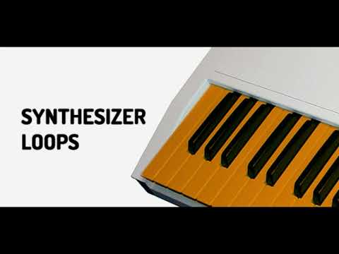 Analog Bass Loop 148 bpm