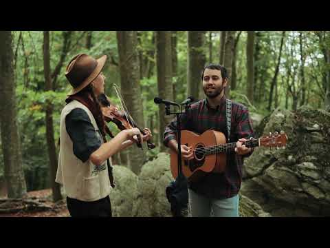 Sempre hi ha temps - Foresta