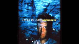 David Wilcox - Underneath - Down Here
