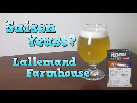 Brew a Spelt Saison!  (w/ Lallemand Farmhouse Yeast)