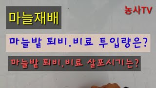 마늘재배-마늘밭에 투입되는 퇴비와 비료 종류, 투입량, 살포시기 [농사TV]