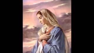 Milpitas Alumni Memorial Videos{Class of 84 85}