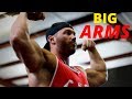 The MOST INSANE Arm Pump Workout