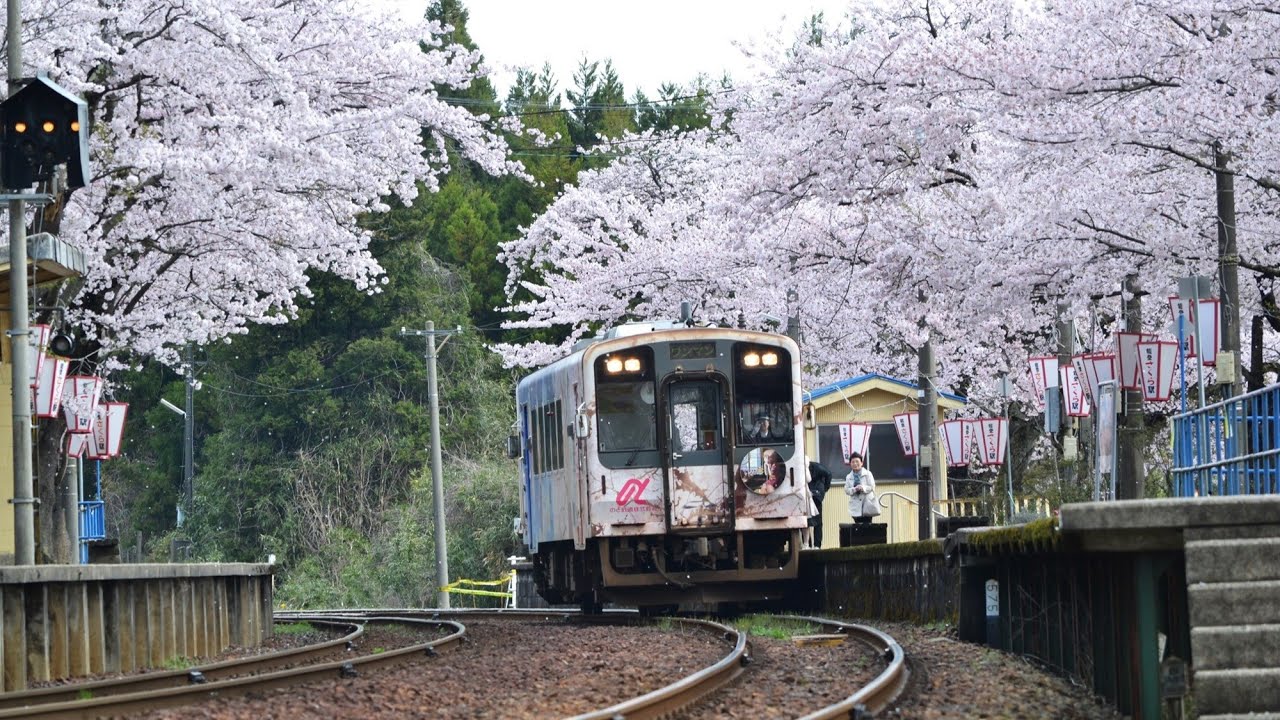 Live webcam view of Noto-Sakura Station Trackside View