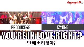 &quot;You&#39;re in love right? (반해버리잖아?)&quot; Produce48 VS IZ*ONE (아이즈원) |Comparison +Split Audio