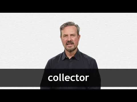 Definition & Meaning of Collector