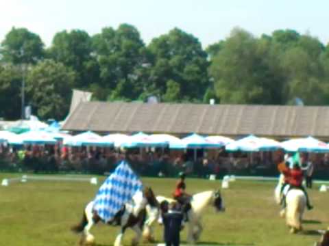 Tinker auf Pferd international 2015