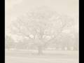 KEANE - "Walnut Tree"