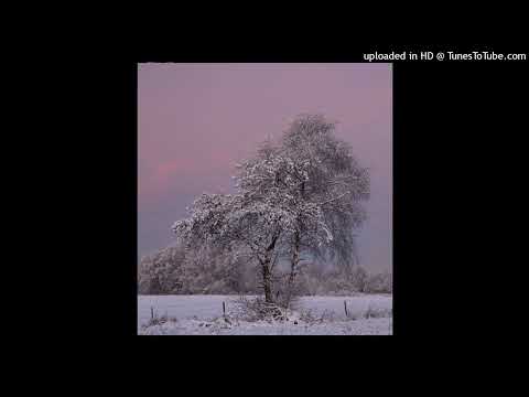 [Free] Travis Scott x Metro Boomin Trap Type Beat - ''butterfly doors"