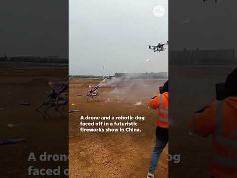 Drone vs. robot dog create sci-fi-like spectacle #Shorts