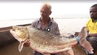 14 Most Difficult Fish To Catch by Epic Wildlife