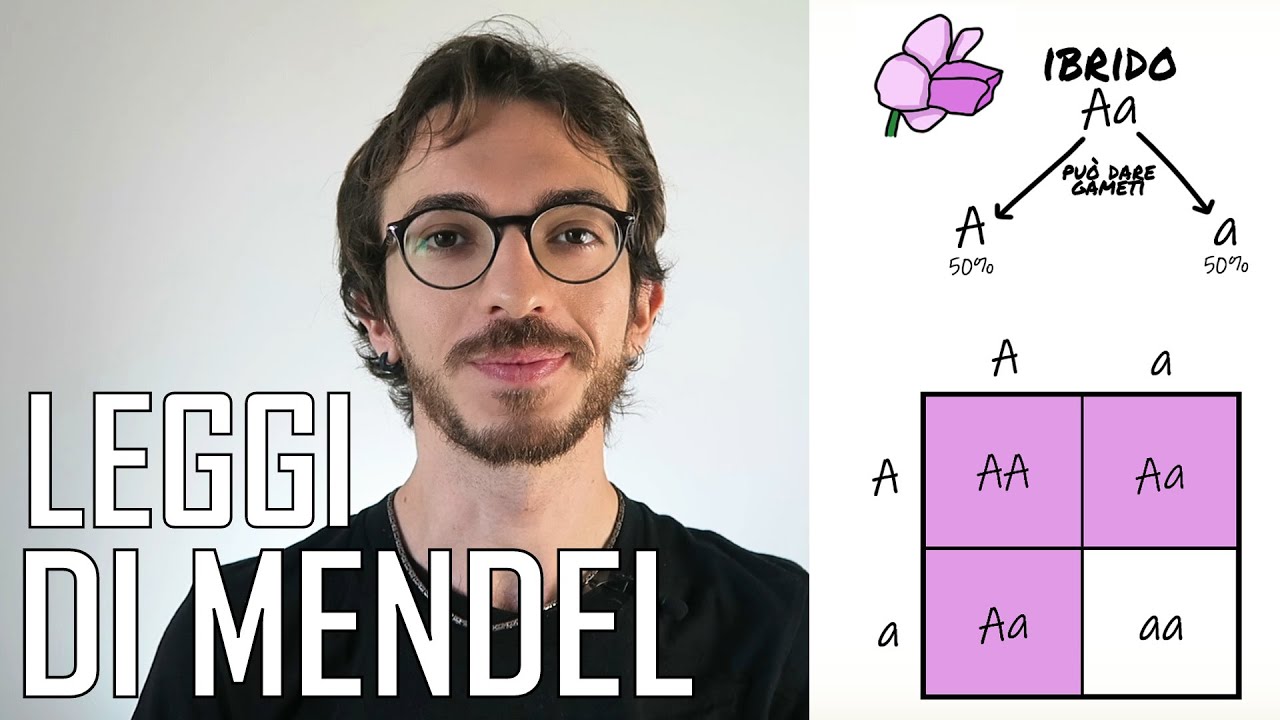 Gli esperimenti di Mendel e le leggi dell'ereditarietà