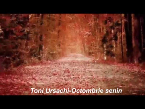 Toni Ursachi -Octombrie senin