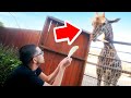 N3on Goes To The World’s CRAZIEST ZOO..