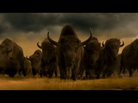 The Horse King Part 9 - Stampede