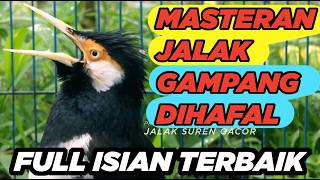 Download lagu Burung Jalak Suren Di Alam Liar Gacor Full Isian Mudah Ditiru Suara Unik mantap mp3