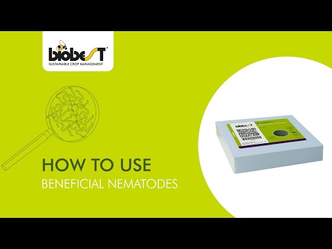 Biobest社の線虫の使用方法 (How to use nematodes from Biobest)