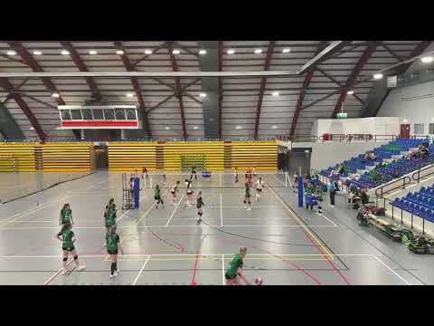 Dros-Alterno DS1 - Ledub DS1