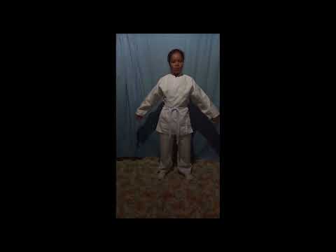 SHOTOKAN KARATE FOLLOW ALONG CLASS - CLASS #1