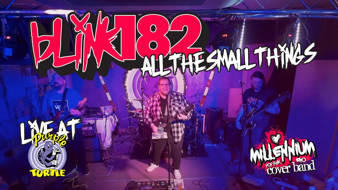 GIG TIME! | All The Small Things @ The Purple Turtle