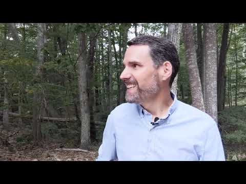 Yellow-Billed Cuckoo - Learn a Bird - Episode #23