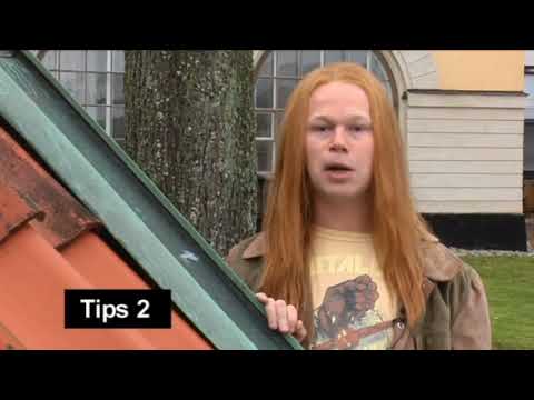 Morgonsoffan - Maakus spartips