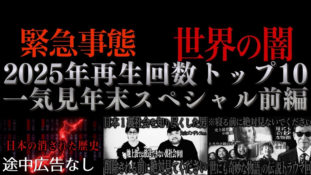 【年末一気見】2025年再生回数トップ10　前編【たっくーtv作業用・睡眠用】