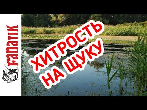 12 грамм